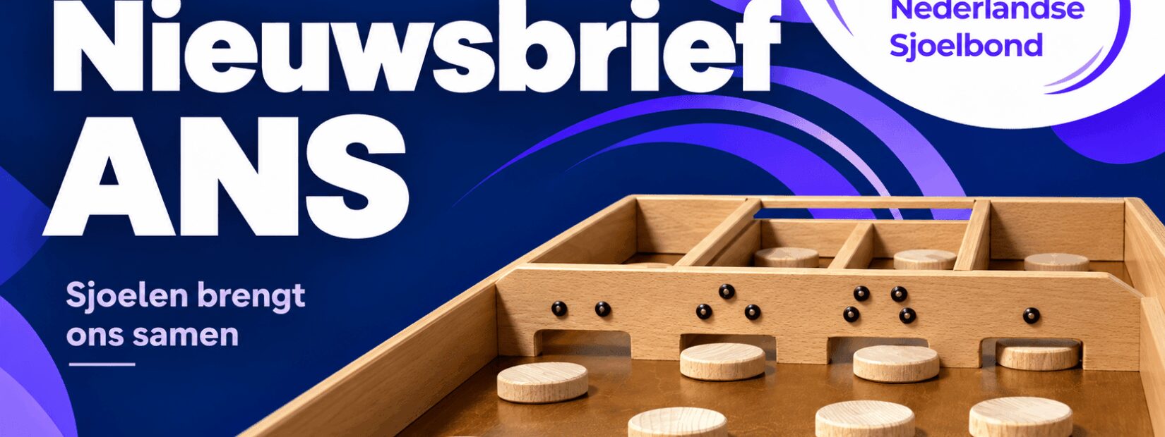 Afbeelding nieuwsbrief ANS